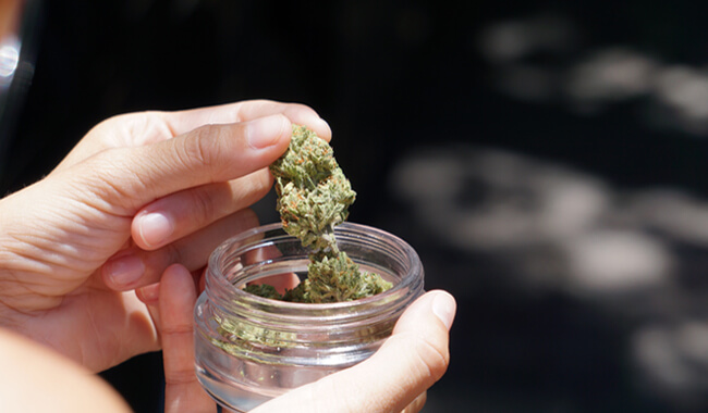 CBD 100% natural